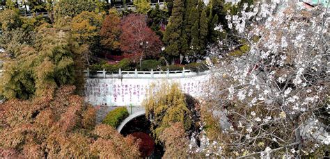 Das  Dongshan Park - Ein grünes Paradies mit atemberaubendem Blick auf die Südküste!